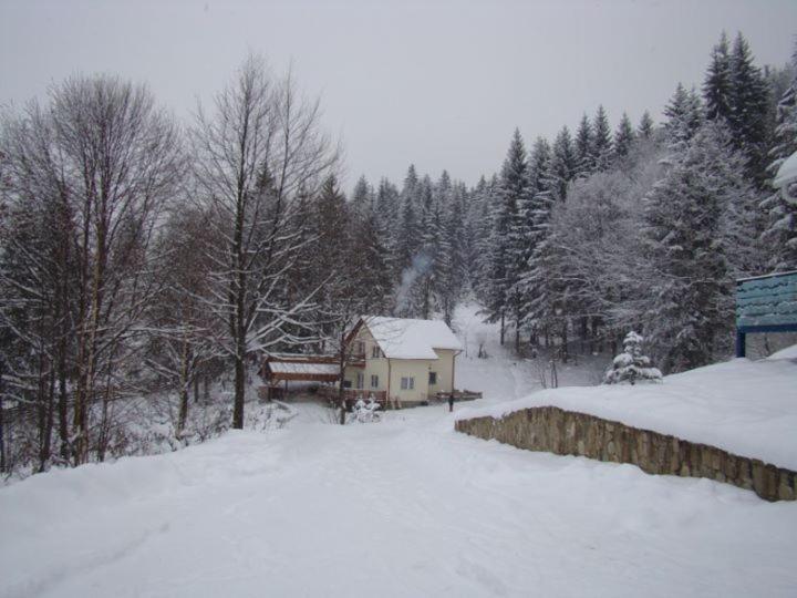 Soaptele Padurii & Casuta Din Padure Sucevita Exterior photo